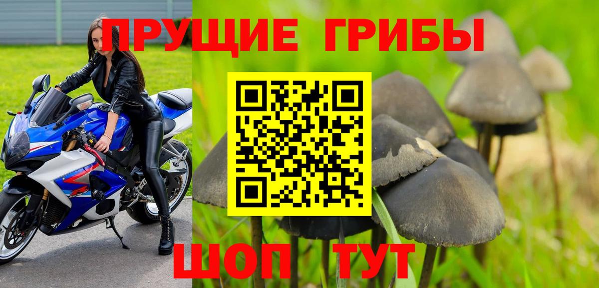 Галлюциногенные грибы мицелий Урюпинск