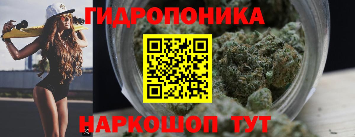 Бошки марихуана план  Бошки марихуана тримм  Канабис White Widow  Урюпинск  Канабис план  Вход с VPN 